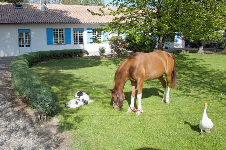 Chambre d’hôte pour 2 personnes, avec jardin et vue