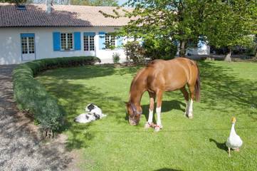 Cottage pour 2 personnes, avec vue et jardin à Lorp-Sentaraille