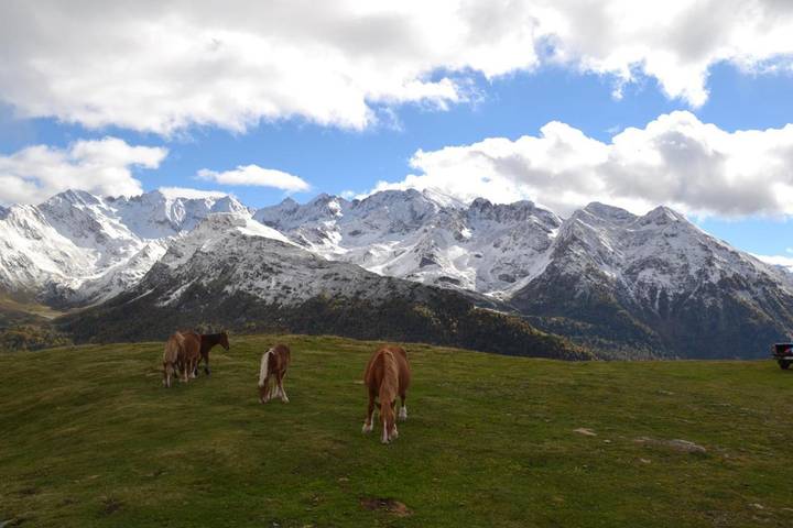 Location de vacances pour 4 personnes, avec jacuzzi et jardin dans Hautacam - 4