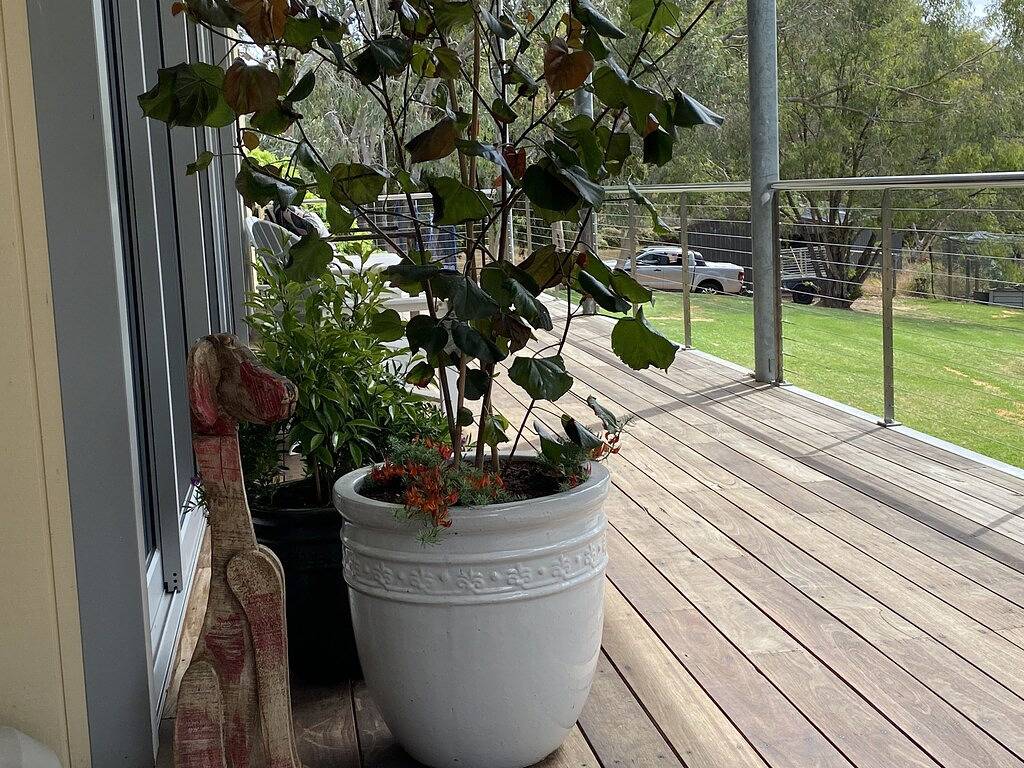 ★ Tresor-Trove - modern, künstlerisch mit riesigen erhöhten Deck - erstaunlich ★ in Yallingup, Western Australia