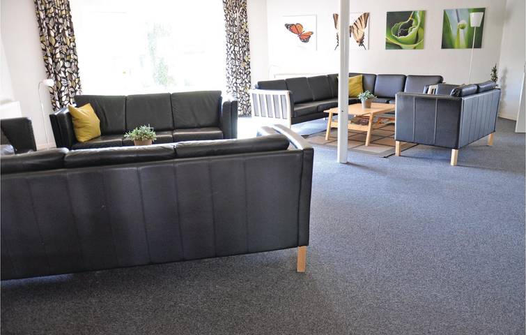 Ferienhaus für 40 Personen, mit Whirlpool und Garten sowie Sauna und Terrasse in Nordborg - 4
