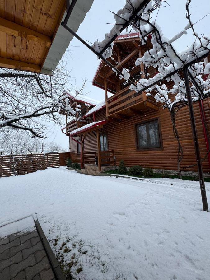 Maison d’hôte pour 2 personnes, avec vue et jardin à Sibiu - 4