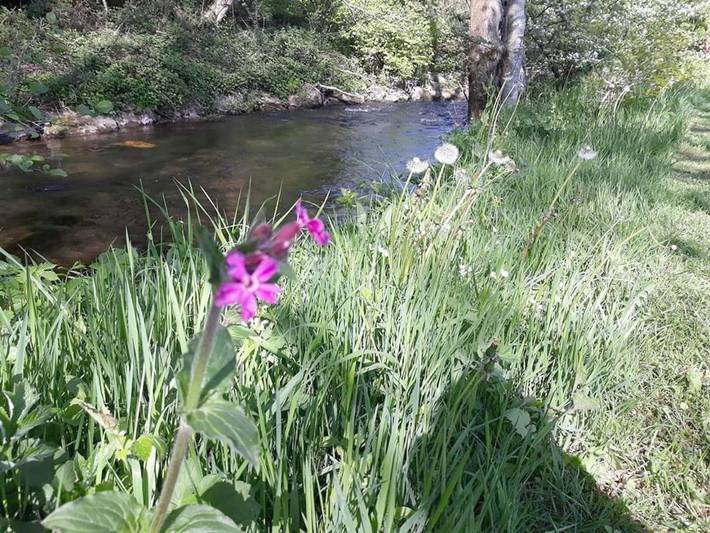Location de vacances pour 2 personnes, avec jardin ainsi que vue et sauna, animaux acceptés dans Fanzel - 2