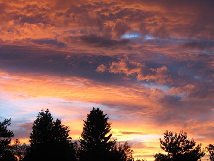 Log cabin for 2 people, with terrace in Flathead Lake