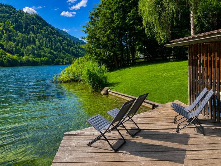 Ganze Wohnung, Ferienwohnung mit Meerblick und Privatstrand in Feld am See, Villach-Land