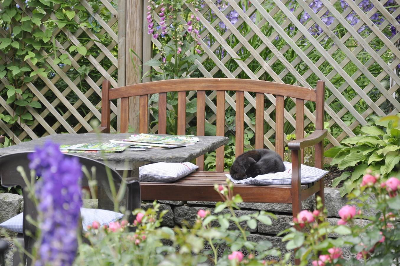 Landhausgarten Bunzmann - Ferienwohnung (Og) im Landhausgarten in Berg (Oberfranken), Landkreis Hof