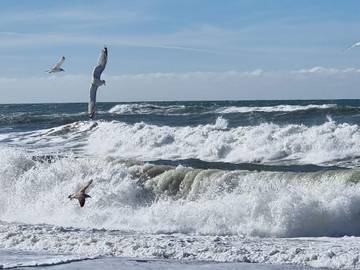 Ferieudlejning til 6 Personer i Vejlby Klit, Vesterhavet, Billede 4