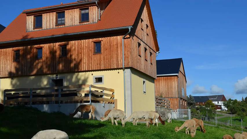 Ferienhaus für 9 Personen, mit Sauna und Garten sowie Terrasse in Frauenstein - 3