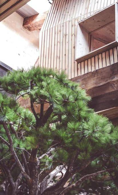 Villa pour 15 personnes à Bordeaux - 3