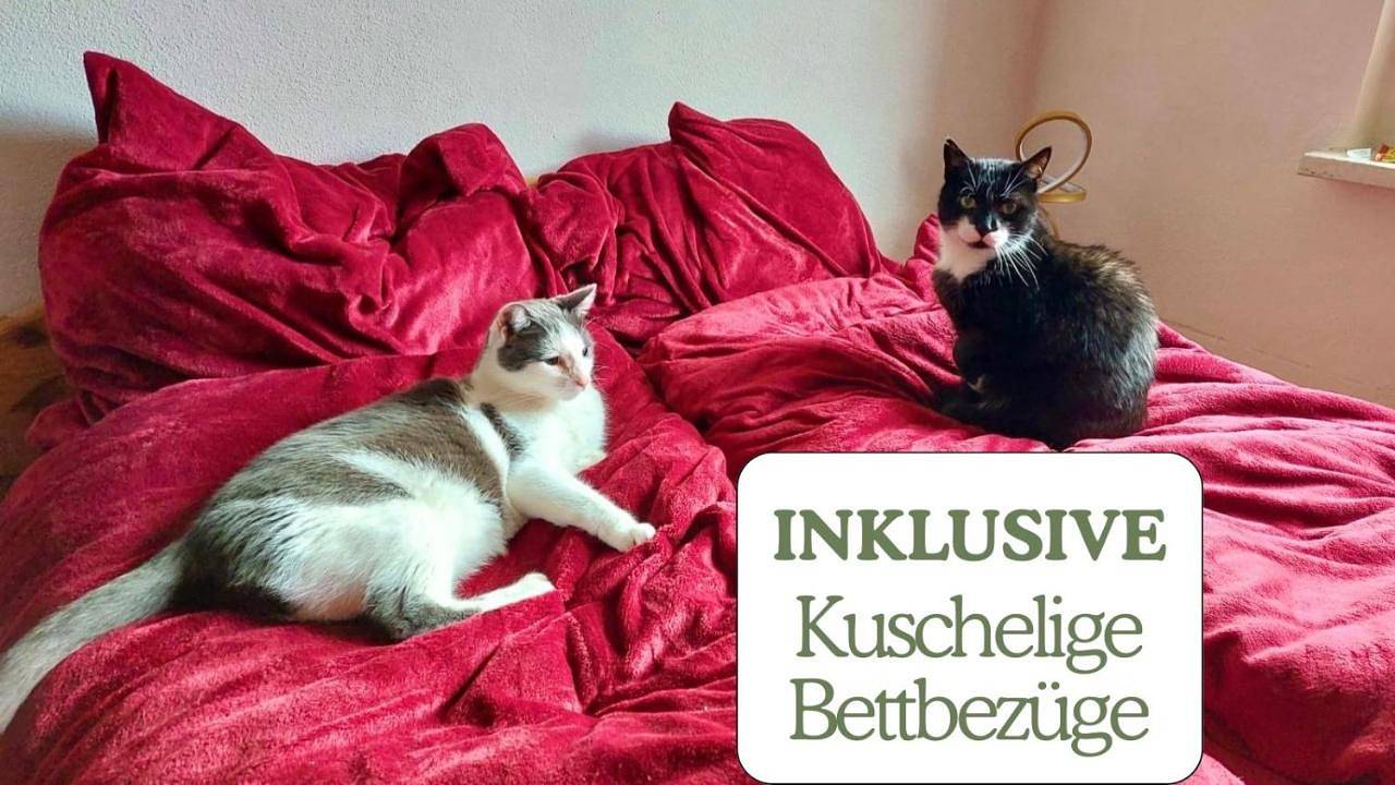 Hundeurlaub - Tiny House im Wald in Badeteich Tanna, Tanna