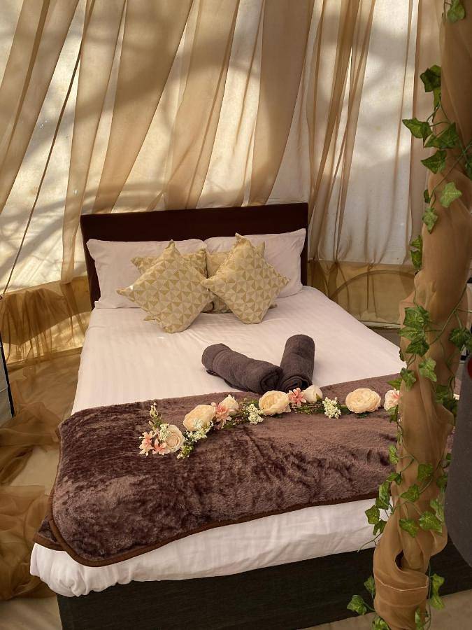 Camping tent for 6 people, with Terrace and Garden in Essex