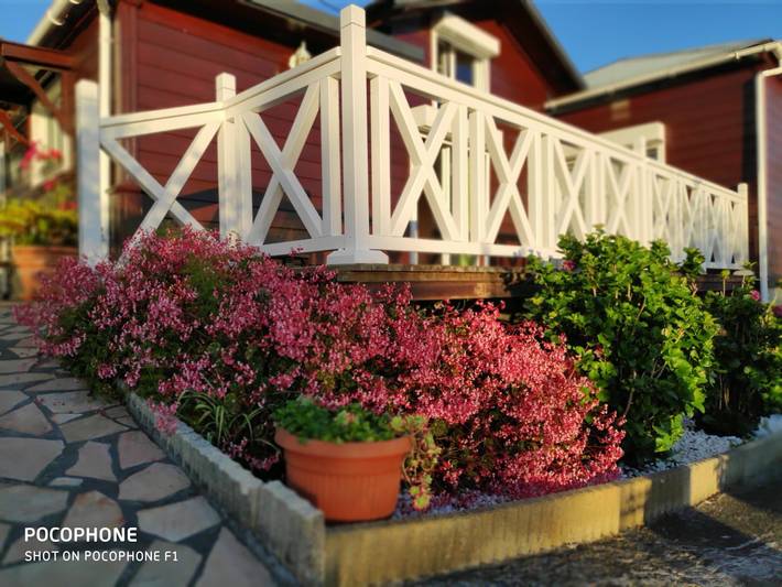 Gîte pour 4 personnes, avec terrasse et jardin à la Plaine des Cafres - 2