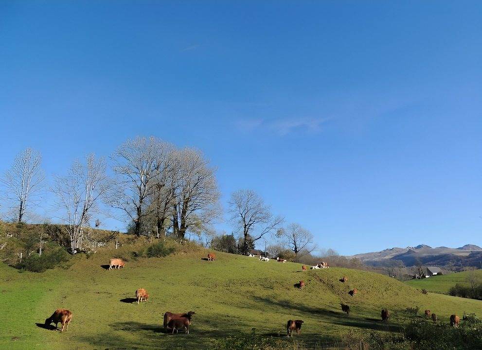 Gîte Le Bousquet in Chastreix, Parc naturel régional des Volcans d'Auvergne