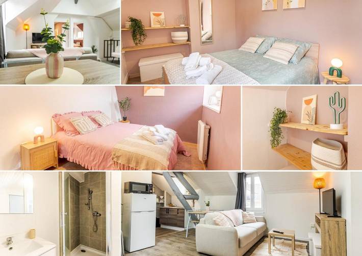 Gîte pour 6 personnes, animaux acceptés à Romilly-sur-Seine - 2