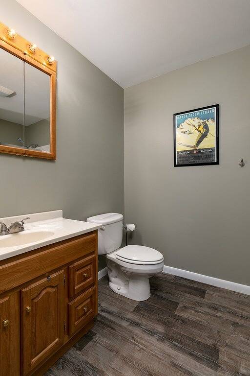 Cabin on the Flats: In the Heart of it All! in Tioga County