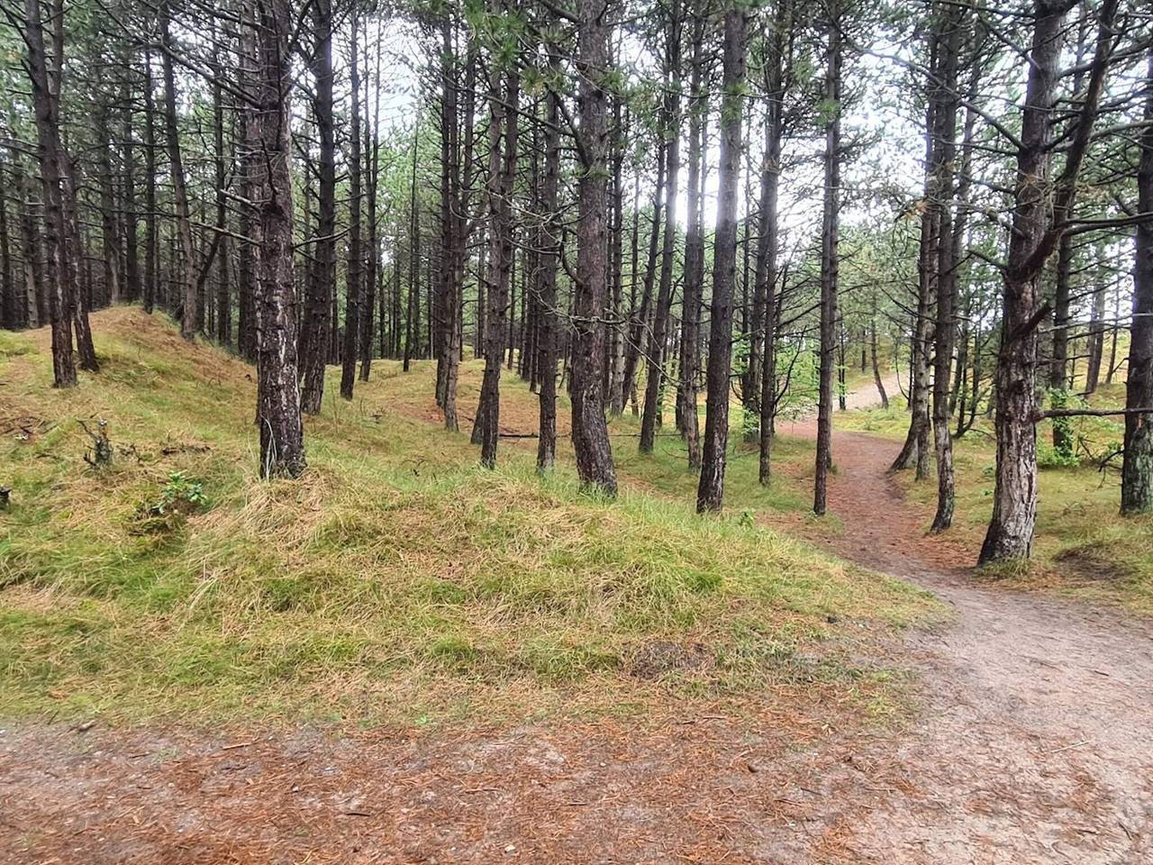 6 persoons vakantie huis in Rømø-By Traum in Bolilmark, Rømø