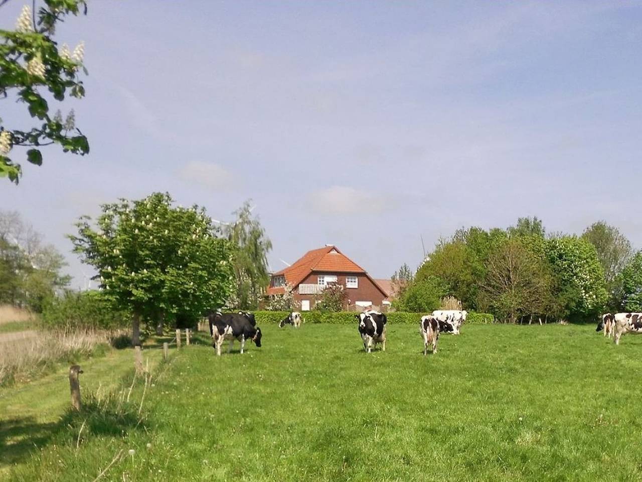 Ferienwohnung Linde in Westerholt, Nordseeküste