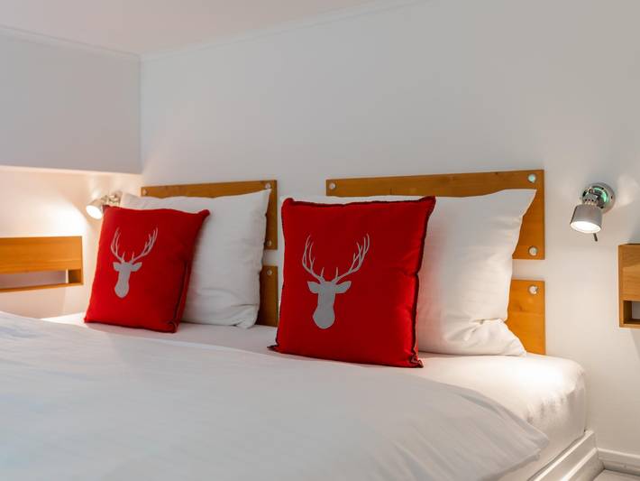 Ganze Wohnung, Ski-in/Ski-out Wohnung auf einem Gletscherfelsen in Hohe Tauern, Bad Gastein und Umgebung