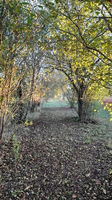 Gîte pour 4 personnes, avec vue et jardin à Reggio d'Émilie - 2