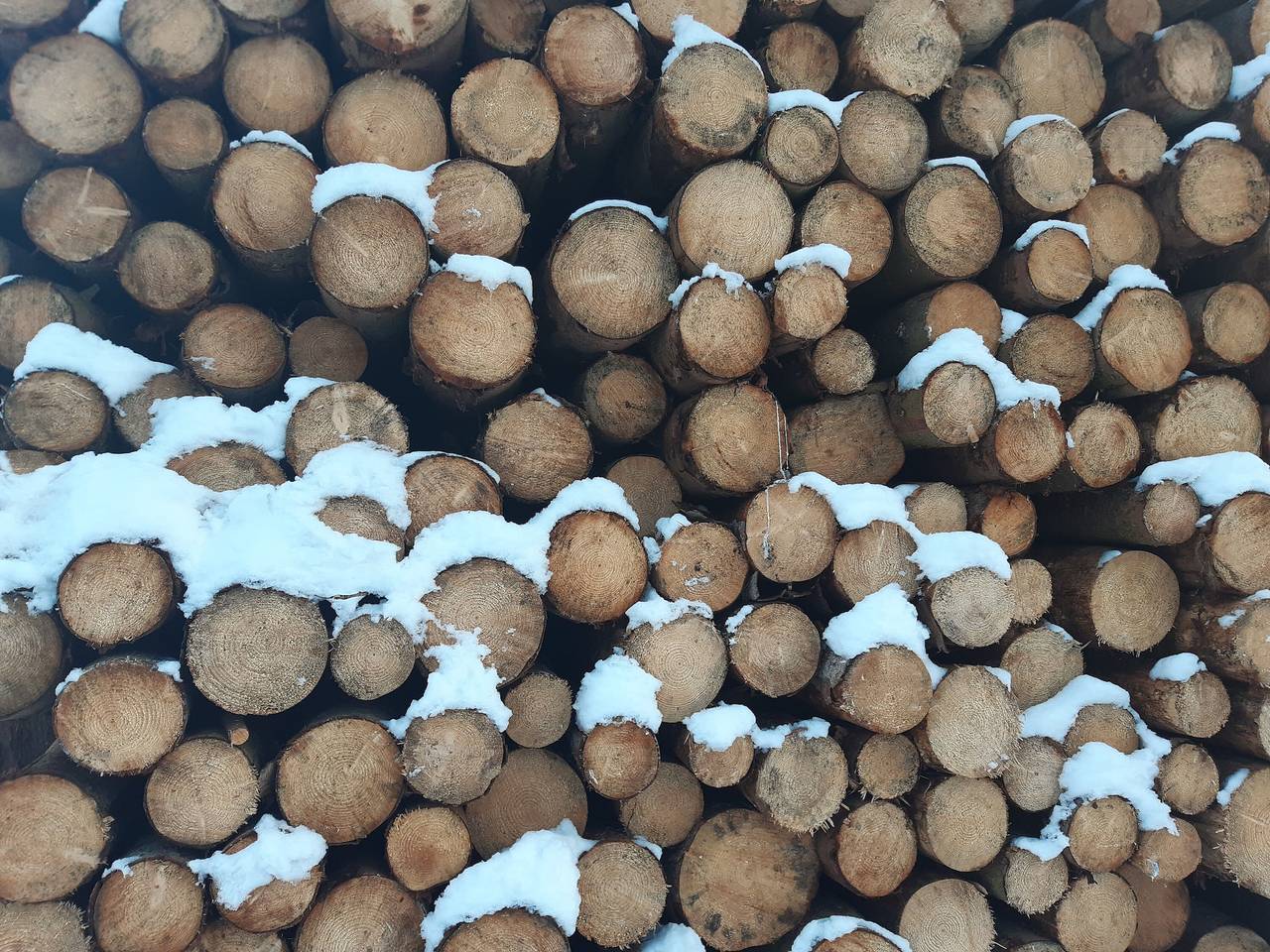 Ganze Wohnung, Ferienwohnung 'Augenblicke, 56 qm' mit privater Terrasse und Wlan in Olsberg, Hochsauerlandkreis