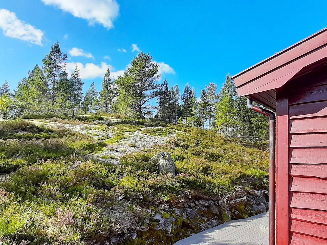 8 person ferie hjemme i Tjørhom in Sirdal 
