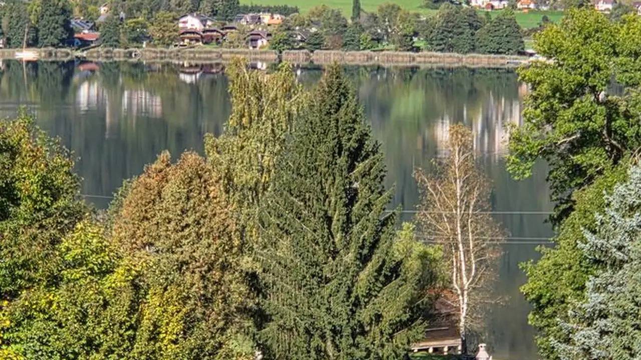 Entire holiday apartment, Ferienwohnung für 3 Personen (53 m²) in Ossiach in Ossiach, Bezirk Feldkirchen