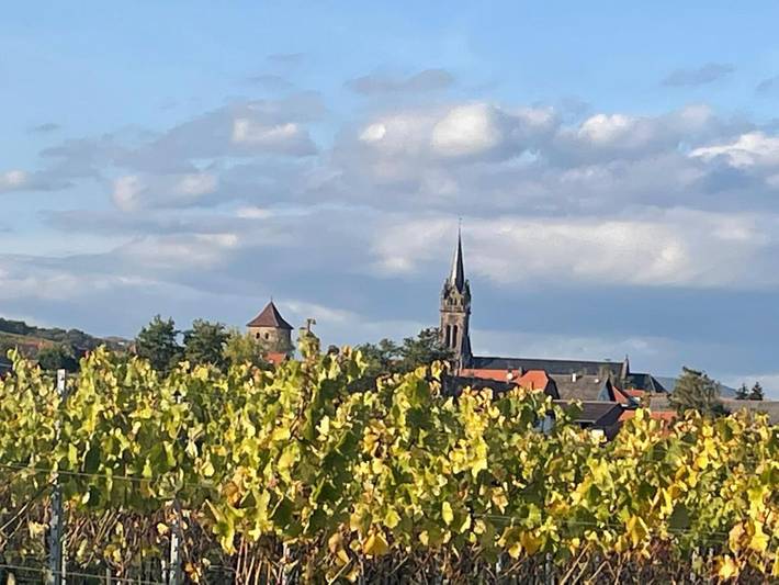 Gîte pour 5 personnes, avec jardin à Dambach-la-Ville - 4