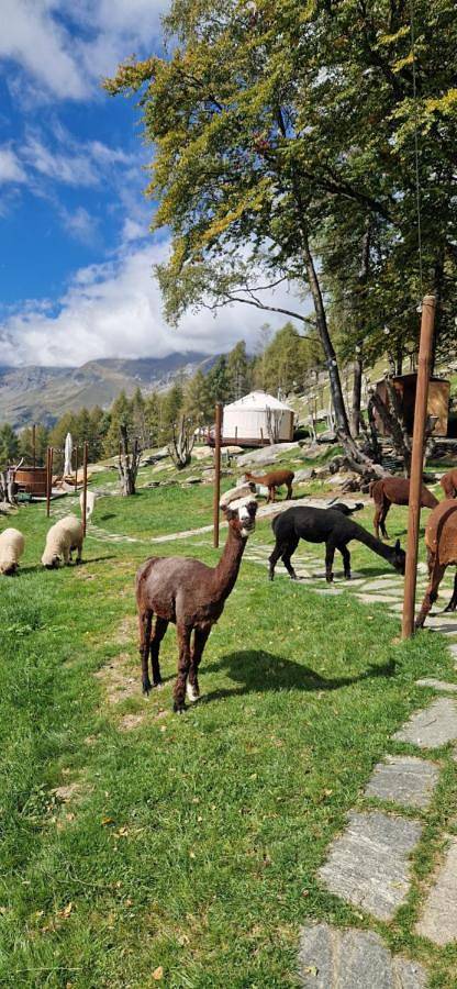 Gîte pour 2 personnes, avec jacuzzi et balcon ainsi que sauna et jardin à Ostana - 2