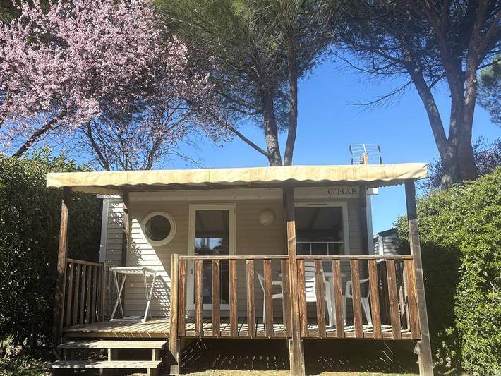 Flower Camping Provence Vallée - Mobilheim 2 personen - Standardzimmer mit 1 Schlafzimmer in Manosque, Regionaler Naturpark Luberon