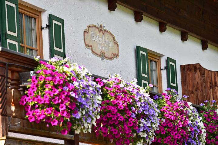 Apartamento vacacional entero, Ferienwohnungen Woferllehen Brandner - holiday flat Wiesenblume, for 2 persons in Berchtesgaden, Alpes de Berchtesgaden