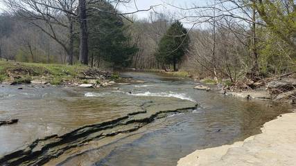 Vacation House for 4 Guests in Tennessee, USA, Picture 1