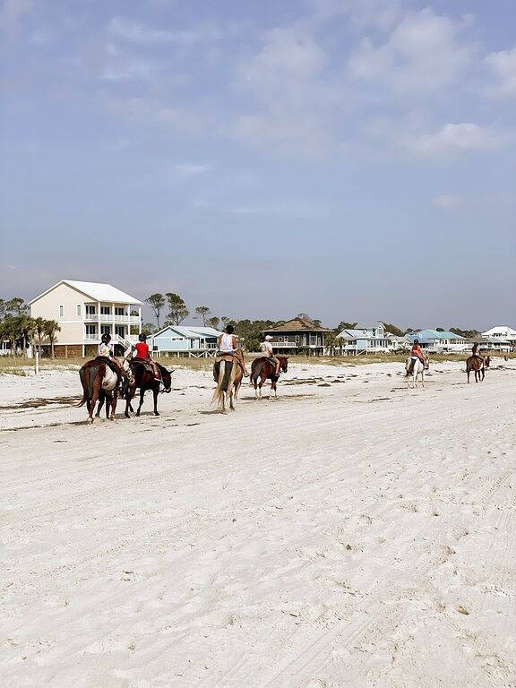 Bay View House on the Forgotten Coast! in Cape San Blas