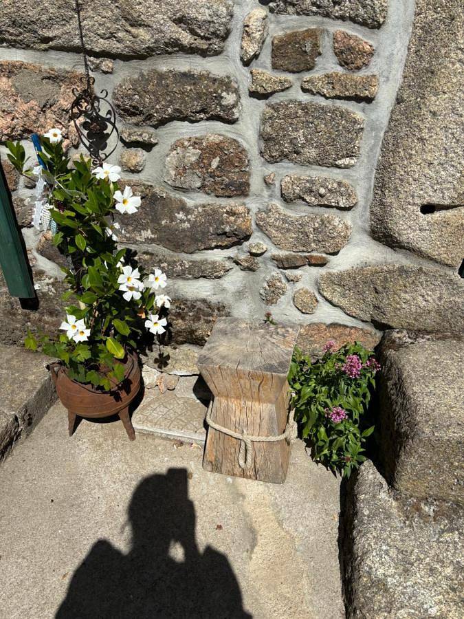 Location de vacances pour 3 personnes, avec jardin et vue dans Tarouca - 3