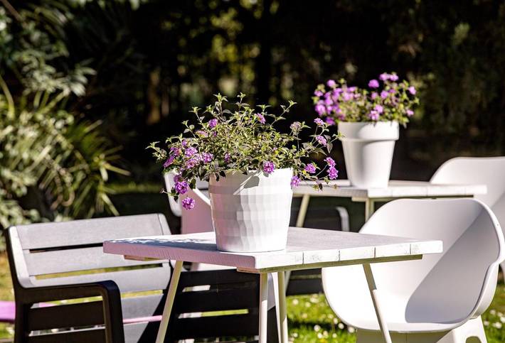 Chambre d’hôte pour 2 personnes, avec vue ainsi que jardin et terrasse, animaux acceptés à Castiglione della Pescaia - 3