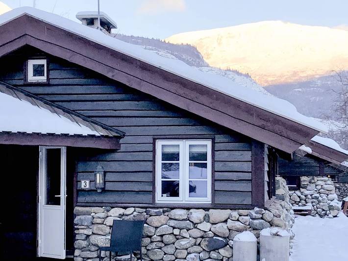 Ferienhaus für 8 Personen, mit Garten in Hemsedal - 2