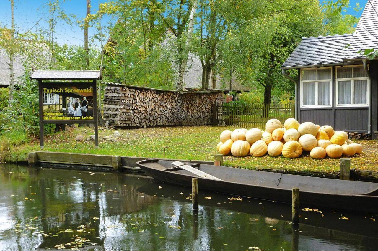 Ganze Wohnung, One-Bedroom Apartment in Schlepzig, Dahme-Spreewald