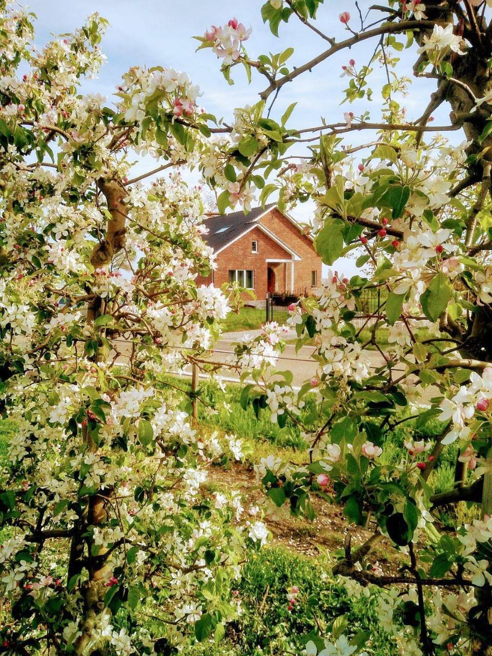 De Oude Katsei in Gingelom, Région de Hasselt