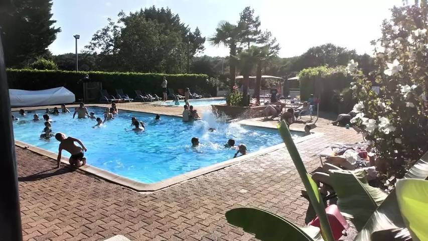Chalet pour 9 personnes, avec piscine et terrasse, animaux acceptés en Dordogne - 4