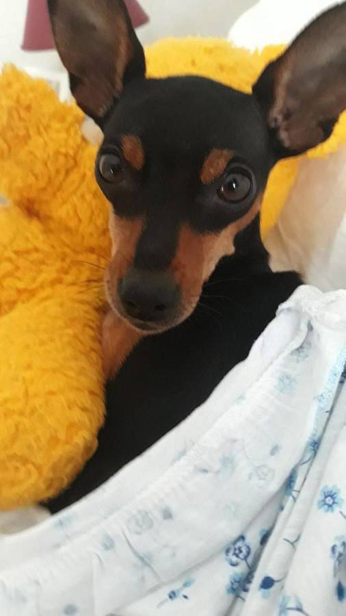 Location de vacances pour 2 personnes, avec jardin et vue à Rosciano - 3