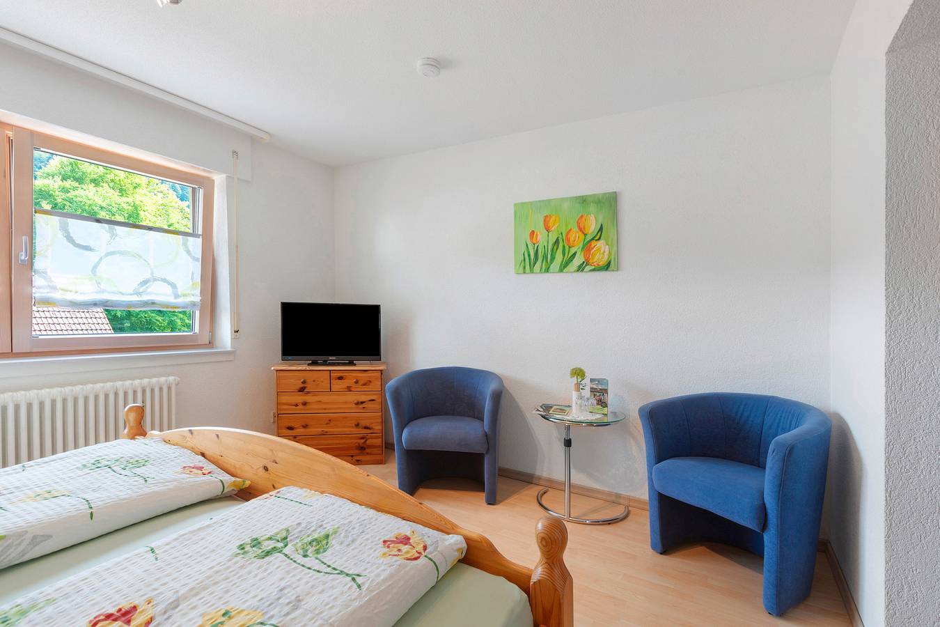Double Room with Wi-Fi in Suedlicher Schwarzwald, Todtmoos