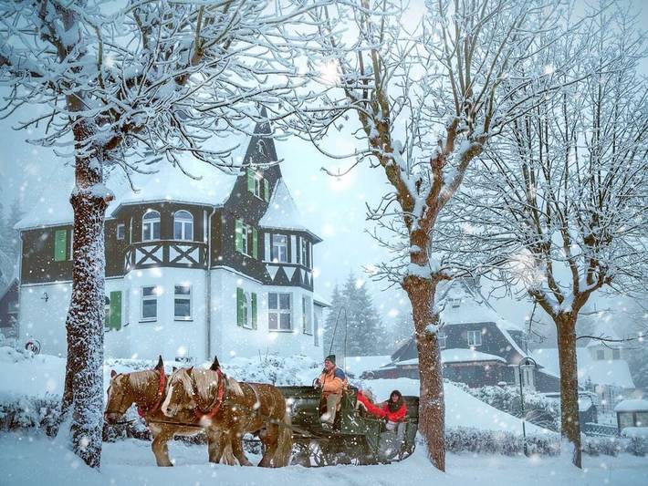 Ferienhaus für 4 Personen, mit Sauna und Garten in Altenberg - 4