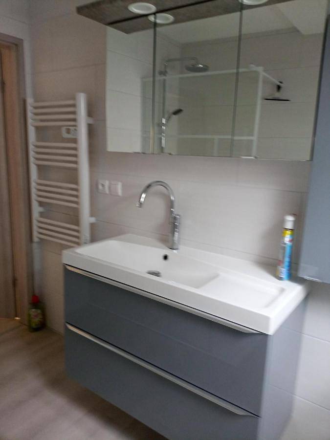 Gîte pour 5 personnes, avec vue sur le lac et vue à Rhinau - 4