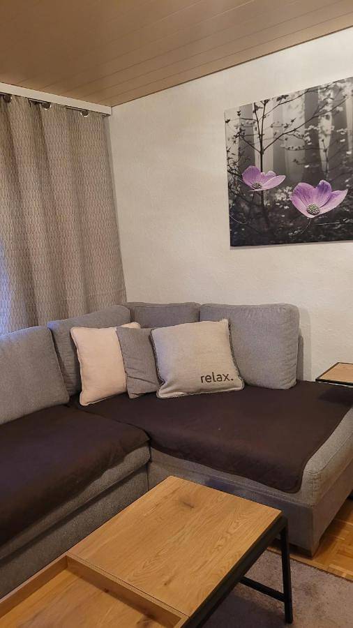 Gîte pour 3 personnes, avec vue et terrasse à Aspach - 3