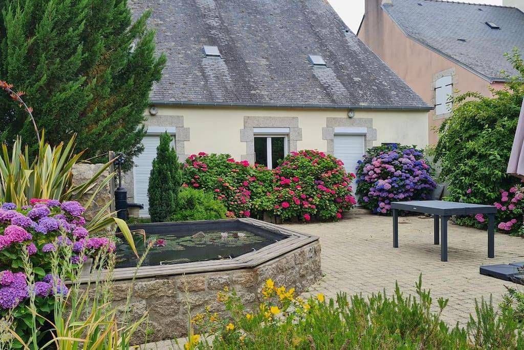 Grande Maison dans le Bourg de Nevez + jardin in Névez, Quimper und Umgebung