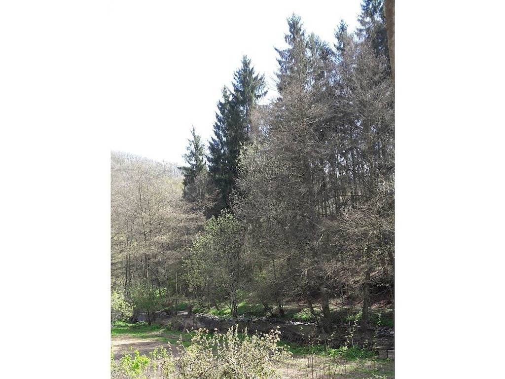 Haupthaus Neumühle in Lutzerath, Cochem-Zell