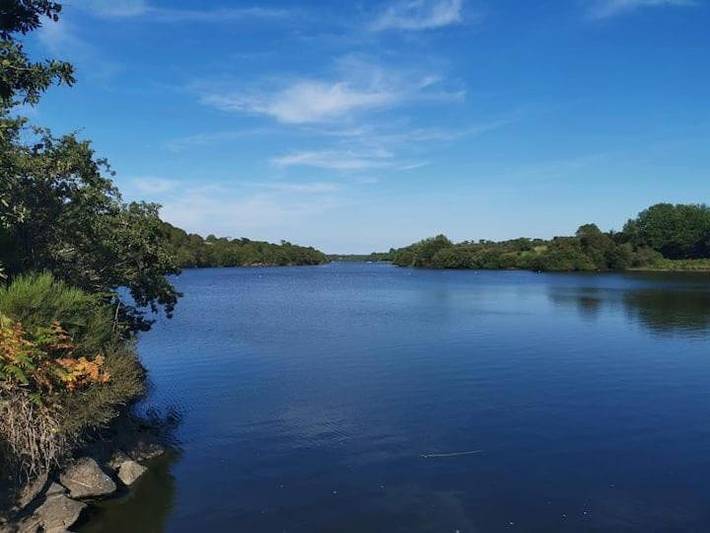 Gîte pour 6 personnes, avec balcon ainsi que jacuzzi et piscine dans Lac du Jaunay - 4