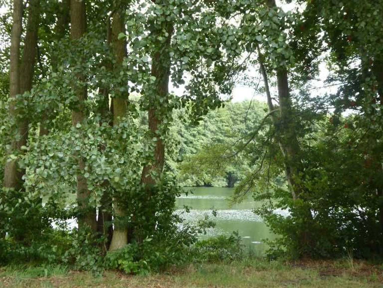 Ganze Ferienwohnung, Ferienhof Rätzsee - Ferienwohnung 3 in Wustrow (Mecklenburgische Seenplatte), Mecklenburg-Strelitz