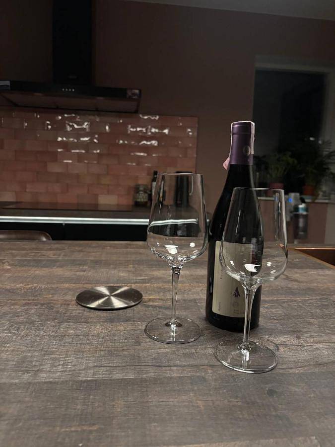 Appartement entier, Experience Zaandam mills & Amsterdam city vibes in Zaandam, Côte hollandaise