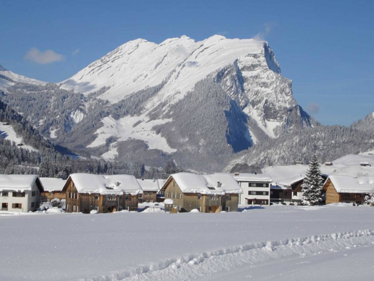 Ganze Ferienwohnung, Appartements Moosbrugger - Haus Herlinde - Appartement Herlinde in Schoppernau, Bregenzerwald