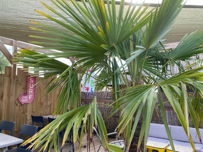 Camping für 4 Personen, mit Kinderpool in Hauts-de-France